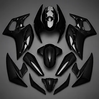 Fairing / Bodywork